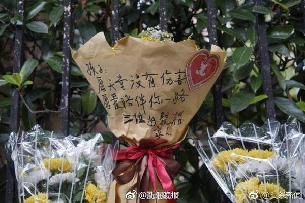 饼干姐姐圣诞节特别篇完整版百度官方安装版